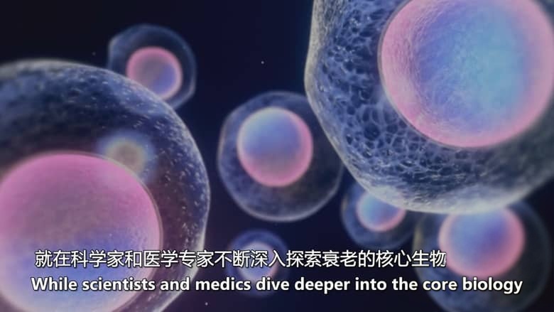 RTE纪录片《青春永驻:终结衰老 Young Forever: The Death of Ageing? 2026》英语中英双字 无水印纯净版 抗衰老与长寿产业插图6 RTE纪录片《青春永驻:终结衰老 Young Forever: The Death of Ageing? 2026》英语中英双字 无水印纯净版 抗衰老与长寿产业插图6