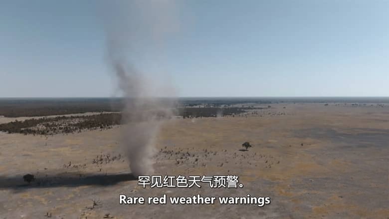 ITV纪录片《自然之力 Force of Nature 2026》全6集 英语中英双字 无水印纯净版 气候与动物插图9 ITV纪录片《自然之力 Force of Nature 2026》全6集 英语中英双字 无水印纯净版 气候与动物插图9