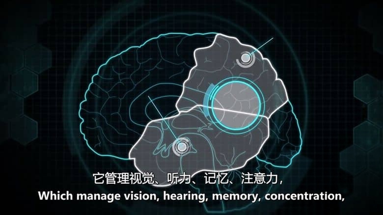 美国纪录片《扑克思维：世界顶级骗子的内心世界 Poker Brain: Inside the Minds of the World’s Best Liars 2017》英语中英双字 无水印纯净版 扑克大脑插图4