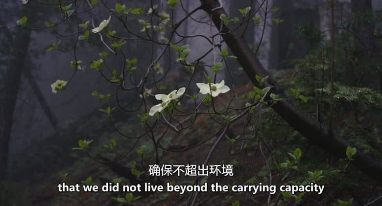 美国纪录片《未来既往:活在当下的沉思 Living in the Future’s Past 2018》英语中英双字 无水印纯净版 地球生态命运插图4 美国纪录片《未来既往:活在当下的沉思 Living in the Future’s Past 2018》英语中英双字 无水印纯净版 地球生态命运插图4