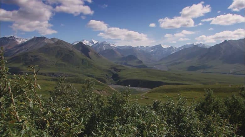 美国纪录片《美国国家公园奇观 Wonders of America’s National Parks 2020》英语中英双字 无水印纯净版 美国国家公园插图8