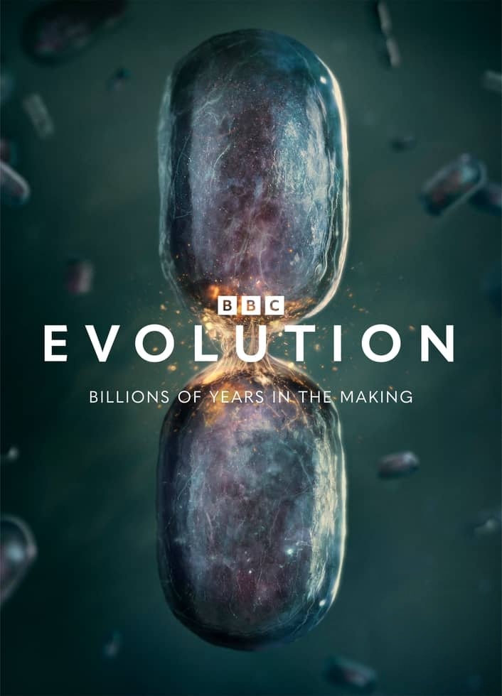 BBC纪录片《进化 Evolution 2026》全5集 英语中英双字 无水印纯净版 地球生命演化史诗插图