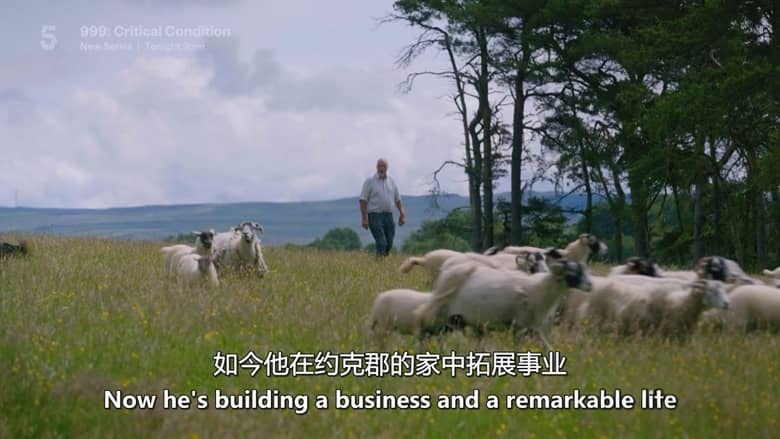 CH5纪录片《鲁本·欧文：谷地生活 Reuben Owen: Life in the Dales 2026》第三季共6集 英语中英双字 无水印纯净版 英国农场生活插图1