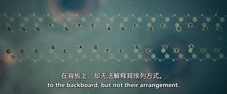 美国纪录片《万物的故事 The Story of Everything 2026》英语中英双字 无水印纯净版 生命与宇宙的起源插图6