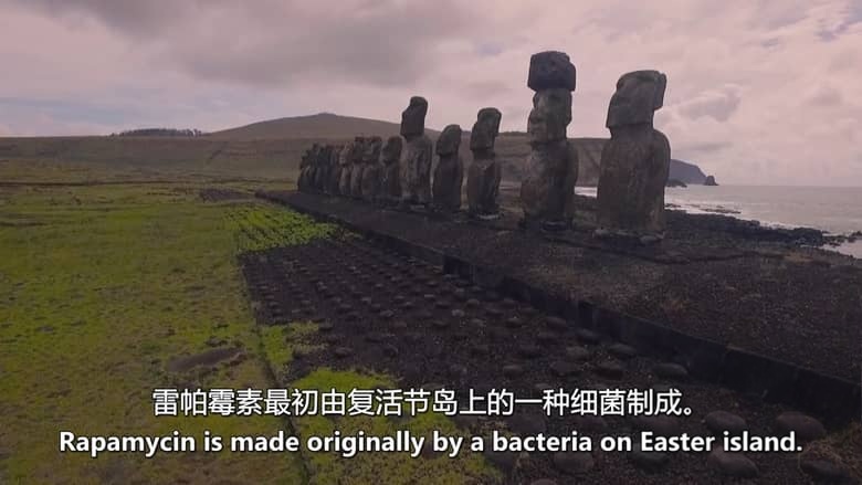 RTE纪录片《青春永驻:终结衰老 Young Forever: The Death of Ageing? 2026》英语中英双字 无水印纯净版 抗衰老与长寿产业插图5 RTE纪录片《青春永驻:终结衰老 Young Forever: The Death of Ageing? 2026》英语中英双字 无水印纯净版 抗衰老与长寿产业插图5