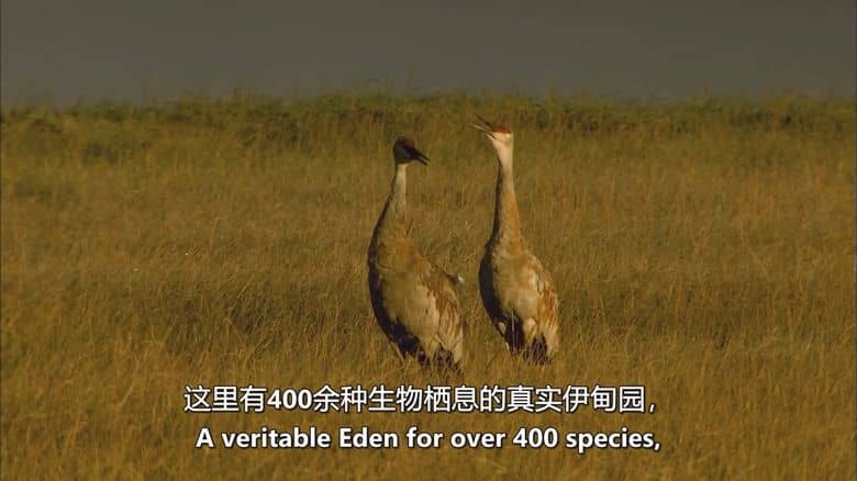 美国纪录片《美国国家公园奇观 Wonders of America’s National Parks 2020》英语中英双字 无水印纯净版 美国国家公园插图3