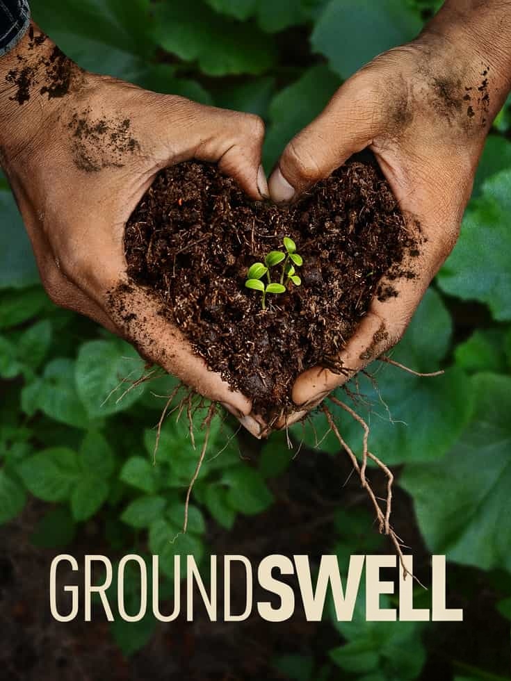 美国纪录片《土地新生 Groundswell 2026》英语中英双字 无水印纯净版 修复退化土地插图