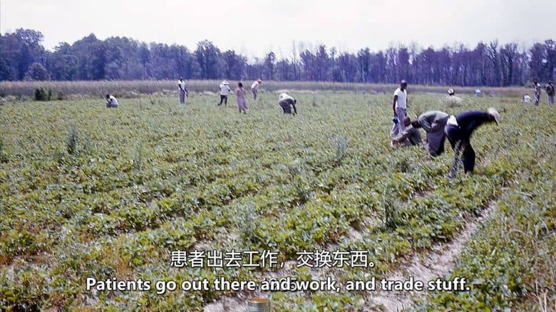 美国纪录片《克朗斯维尔医院：从疯狂到传奇 Crownsville Hospital: From Lunacy to Legacy 2018》英语中英双字 无水印纯净版 精神病院插图2