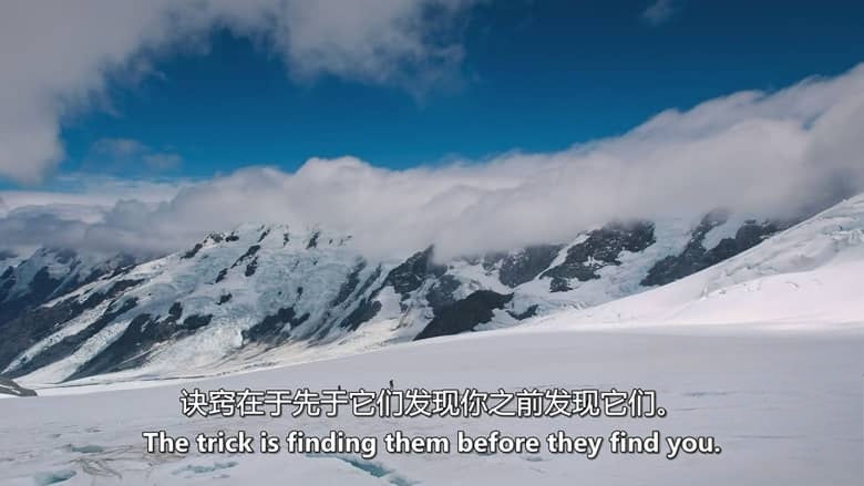 PBS纪录片《冰雪纪元 Ages of Ice 2026》全3集 英语中英双字 无水印纯净版 探索冰冻世界插图4 PBS纪录片《冰雪纪元 Ages of Ice 2026》全3集 英语中英双字 无水印纯净版 探索冰冻世界插图4