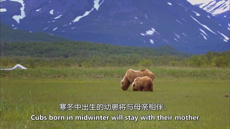 美国纪录片《美国国家公园奇观 Wonders of America’s National Parks 2020》英语中英双字 无水印纯净版 美国国家公园插图6