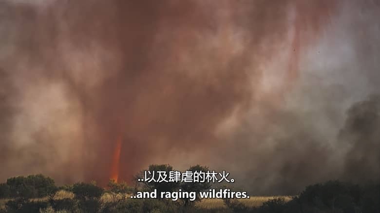 ITV纪录片《自然之力 Force of Nature 2026》全6集 英语中英双字 无水印纯净版 气候与动物插图7 ITV纪录片《自然之力 Force of Nature 2026》全6集 英语中英双字 无水印纯净版 气候与动物插图7