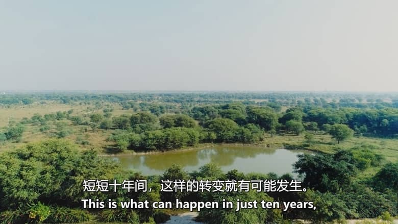 美国纪录片《土地新生 Groundswell 2026》英语中英双字 无水印纯净版 修复退化土地插图6