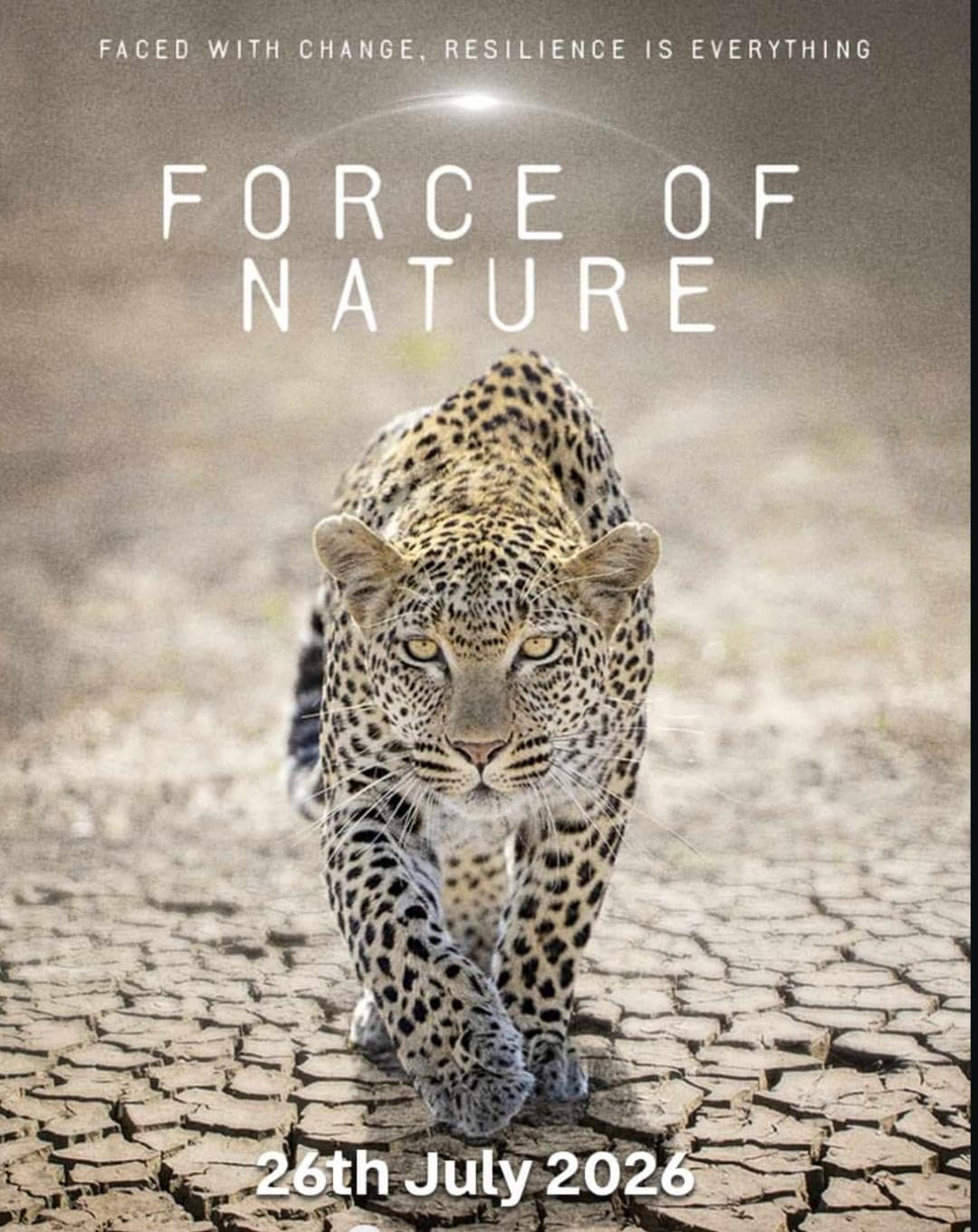 ITV纪录片《自然之力 Force of Nature 2026》全6集 英语中英双字 无水印纯净版 气候与动物插图 ITV纪录片《自然之力 Force of Nature 2026》全6集 英语中英双字 无水印纯净版 气候与动物插图